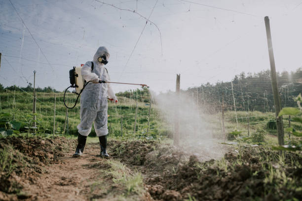 Best Ant Control Services  in Kidron, OH