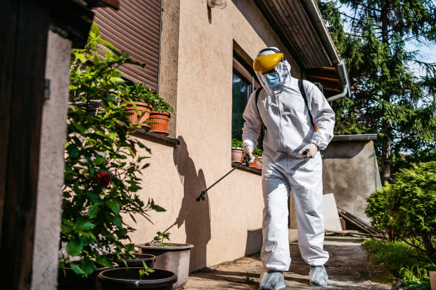 Best Insect Control  in Kidron, OH