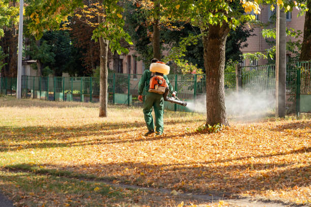 Best Wildlife Control Services  in Kidron, OH