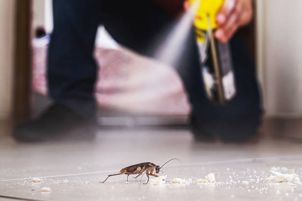 Best Pest Control for Restaurants  in Kidron, OH