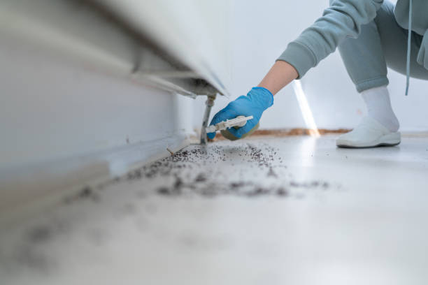 Best Affordable Pest Control Services  in Kidron, OH